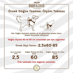 Cattie Havalı Dokuma Kedi Göğüs ve Gezdirme Takımı Large Royal Mavi 1.5x30-40 Cm