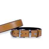 Doggie Konfor Deri Köpek Boyun Tasması Large Camel 3.5x52-60 Cm