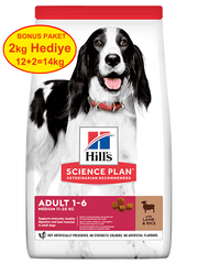 Hills Kuzu Etli Orta Irk Yetişkin Köpek Maması 12+2 Kg Hediyeli