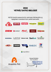 Kong Comfort Pups Goldie Köpek Şeklinde Peluş Köpek oyuncağı Medium