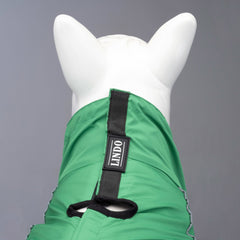 Lindo Dogs Quattro Nebula Köpek Yağmurluğu Yeşil Beden 4