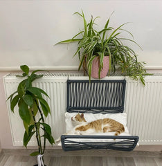 Lepus Yay Asmalı Petek Kedi ve Küçük Irk Köpek Yatağı Antrasit 55x46 Cm