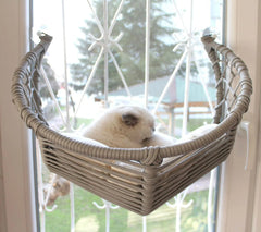 Lepus Hilal Vantuzlu Cam Kedi ve Küçük Irk Köpek Yatağı Koyu Gri 46x38 Cm