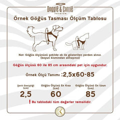 Cattie Havalı Dokuma Kedi Göğüs ve Gezdirme Takımı Small Bej 1x20-30 Cm