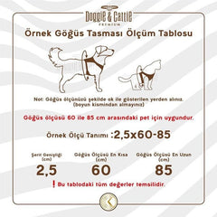 Cattie Havalı Dokuma Kedi Göğüs ve Gezdirme Takımı Small Siyah 1x20-30 Cm